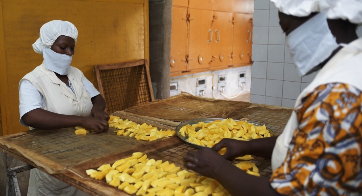 Foto_GebaneAfrique