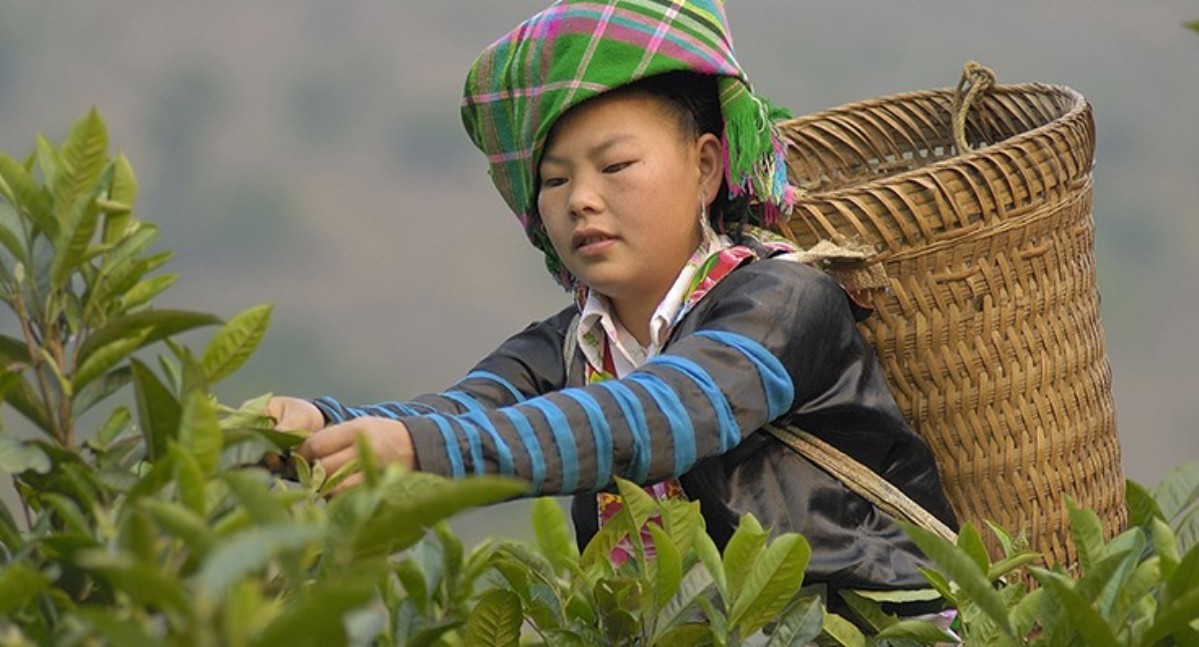 Foto_Van_Chan