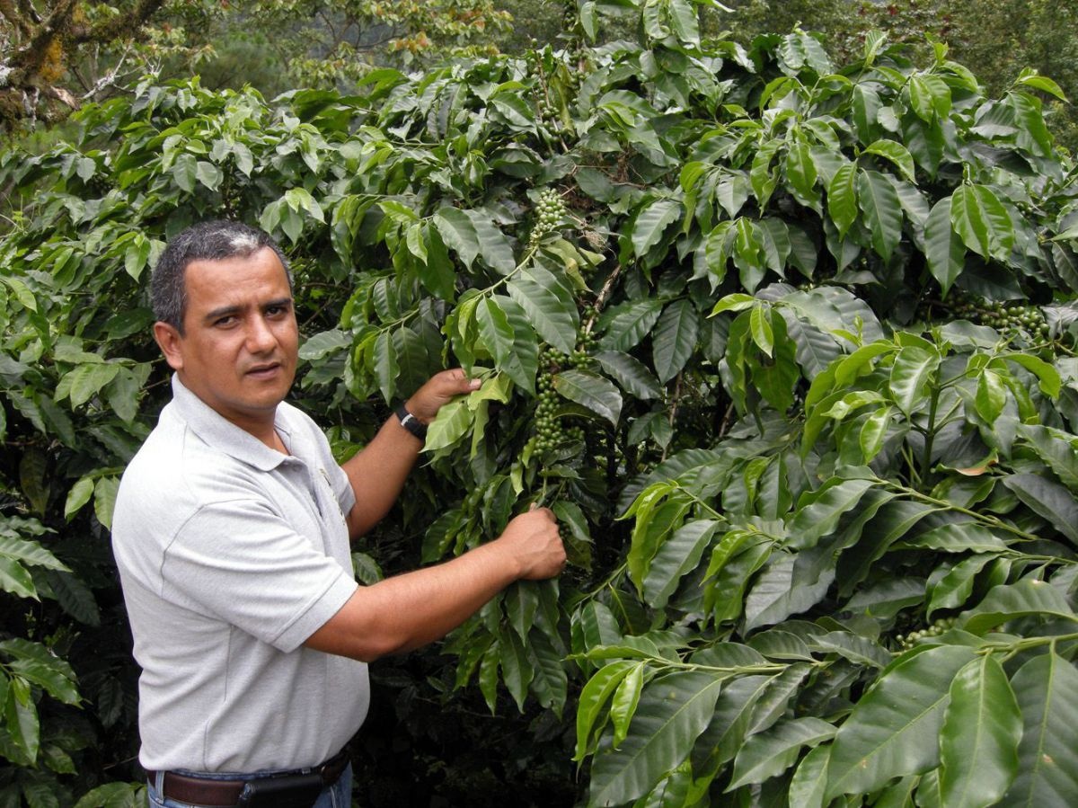 cafel-javier-bc