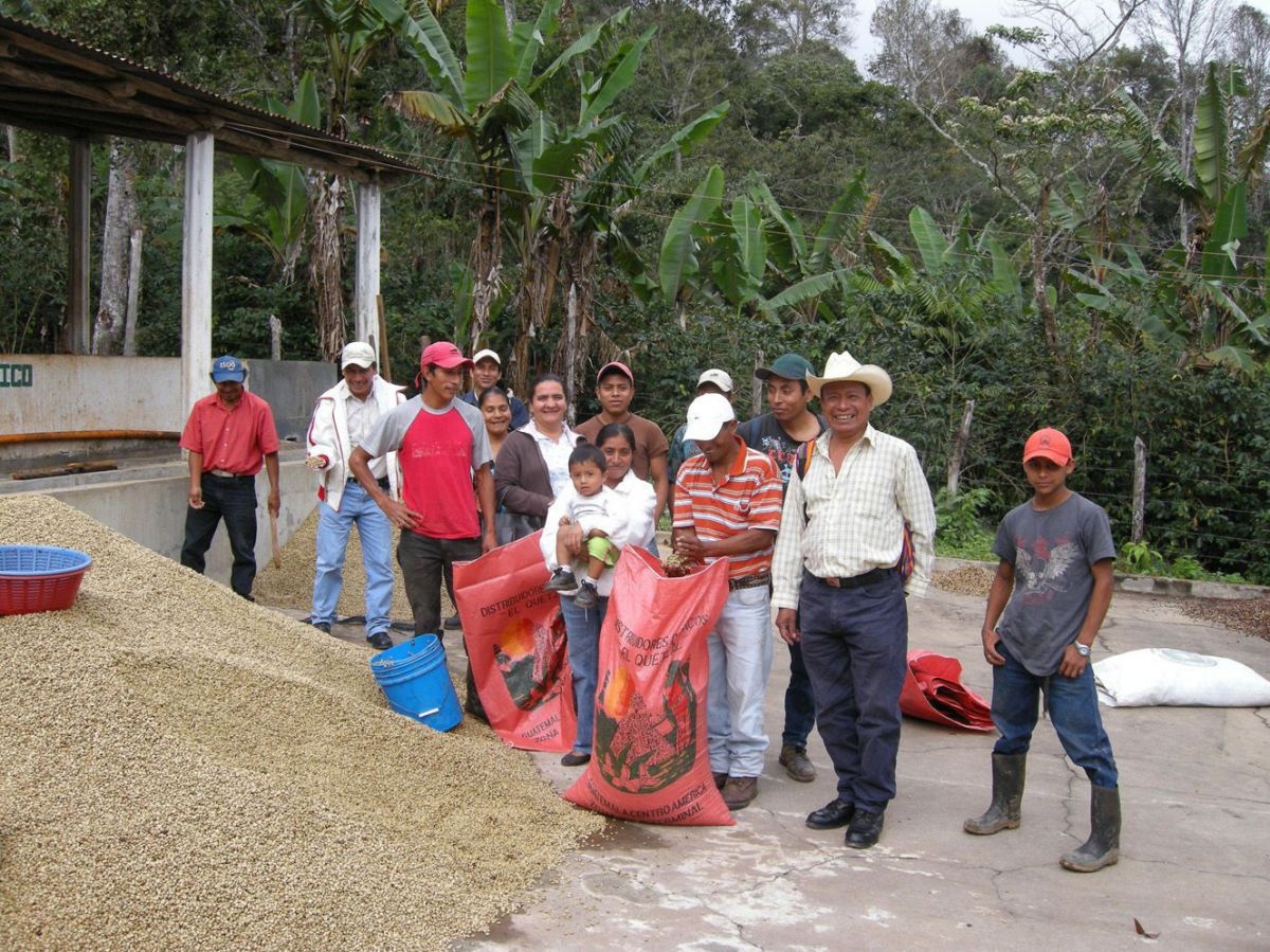 ciasfa2-fd