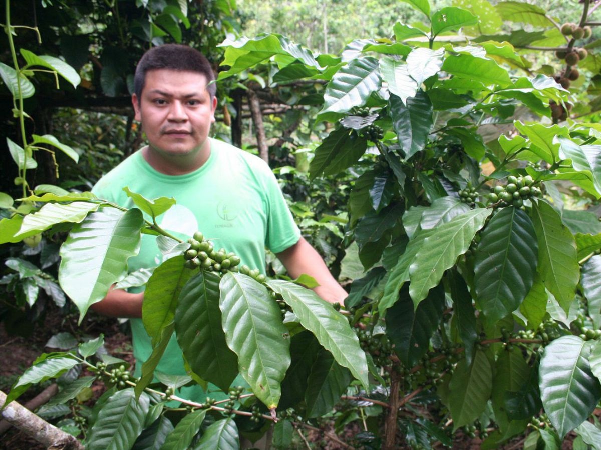 cecocafen-norvin-urbina