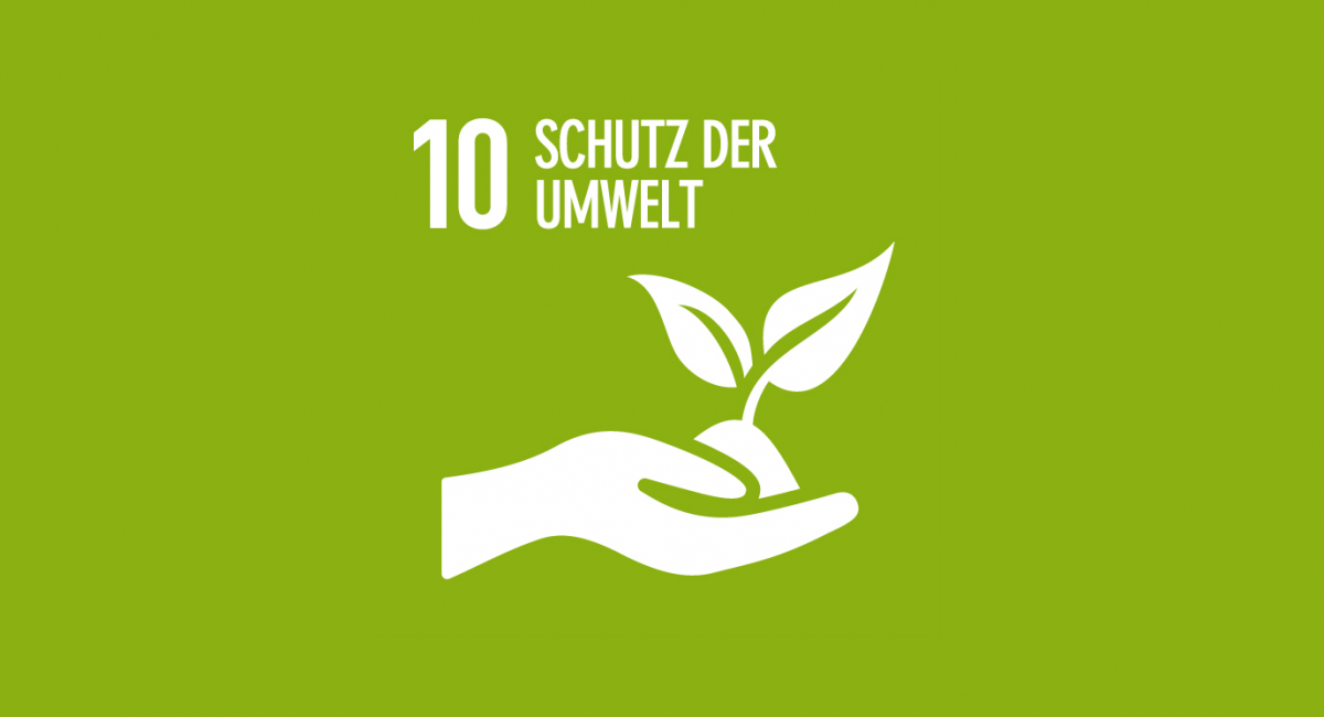 wfto-10