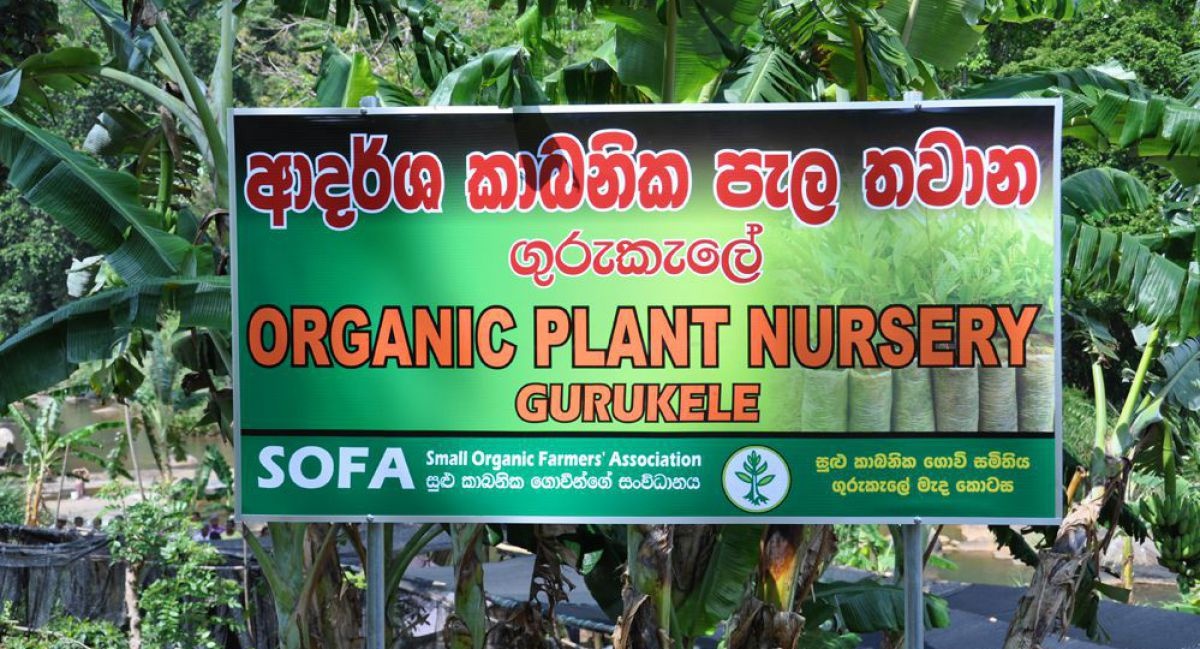 sofa-organic