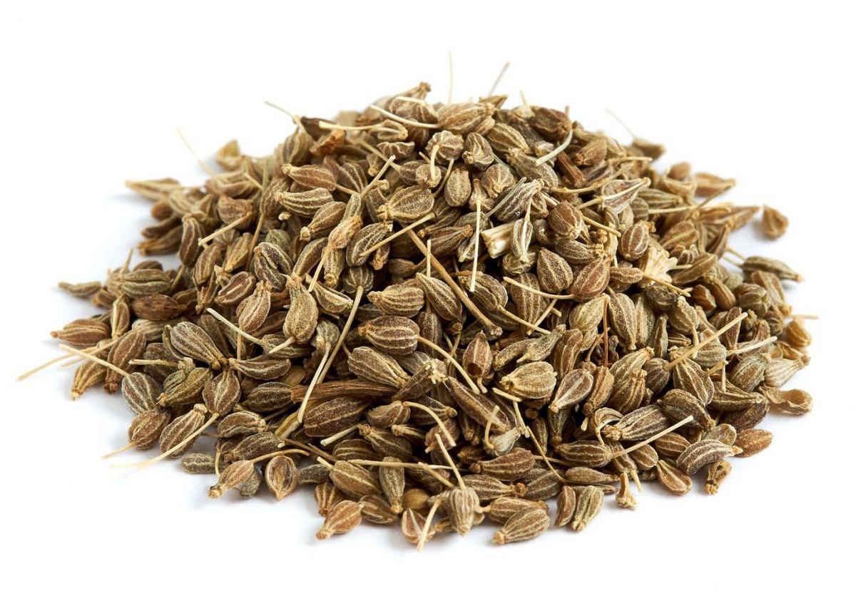 gewuerze-fenchel