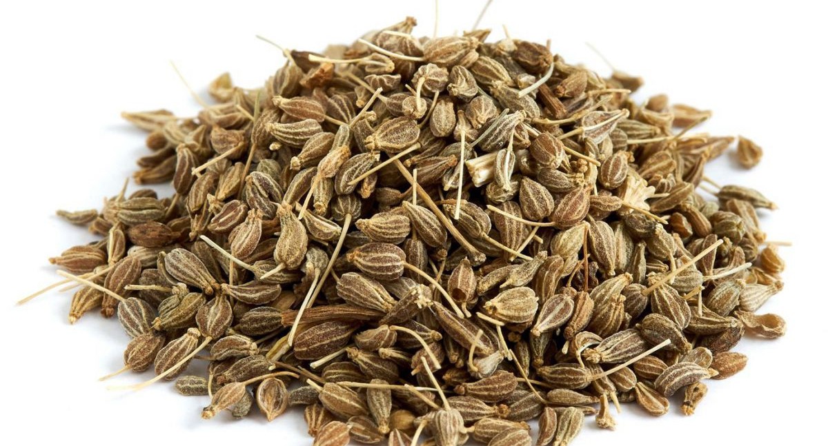 gewuerze-fenchel