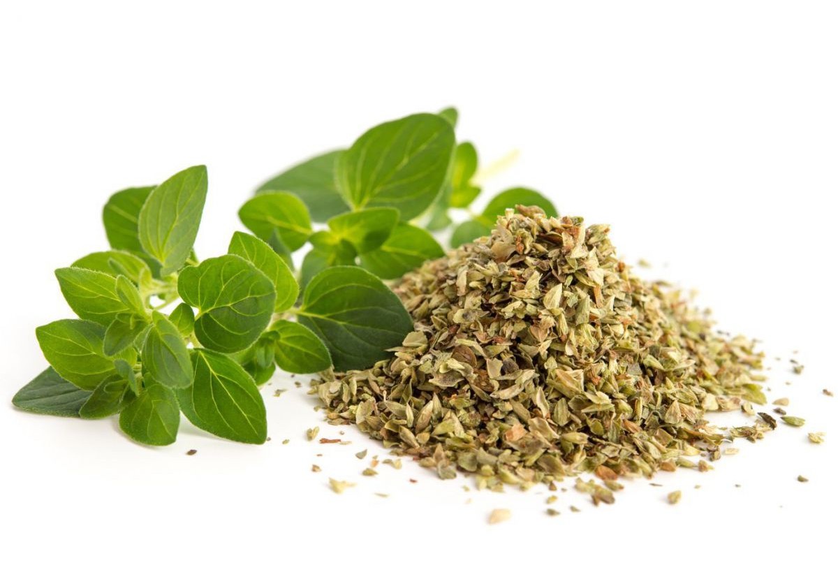 gewuerze-oregano