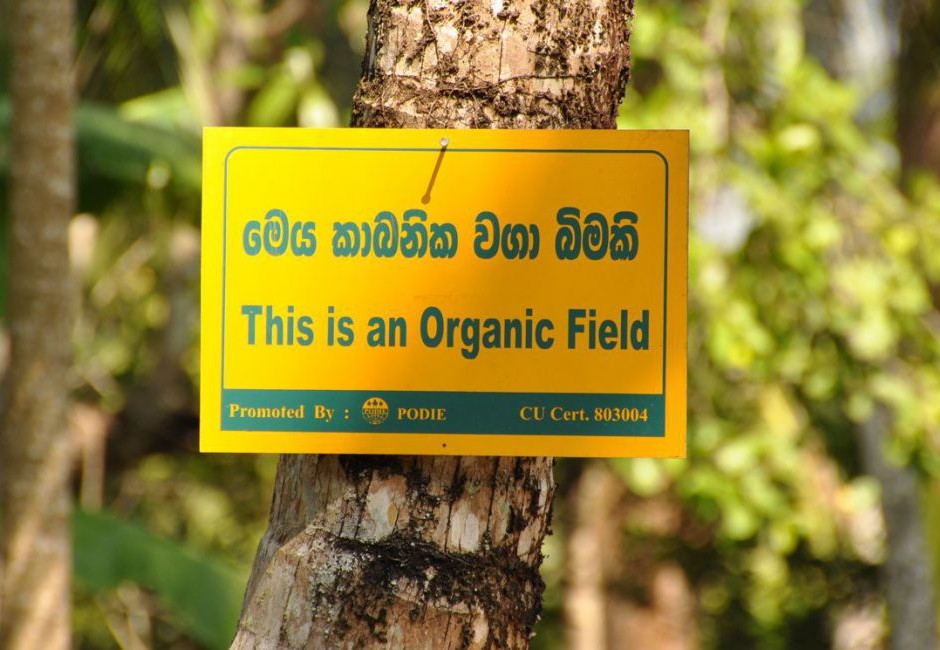 gewuerze-organic-field