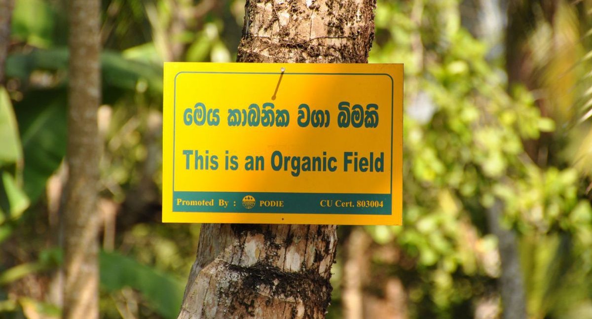 gewuerze-organic-field