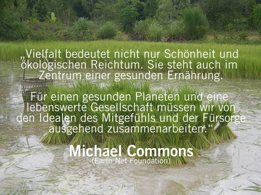 66_eza-reis-bilderbogen