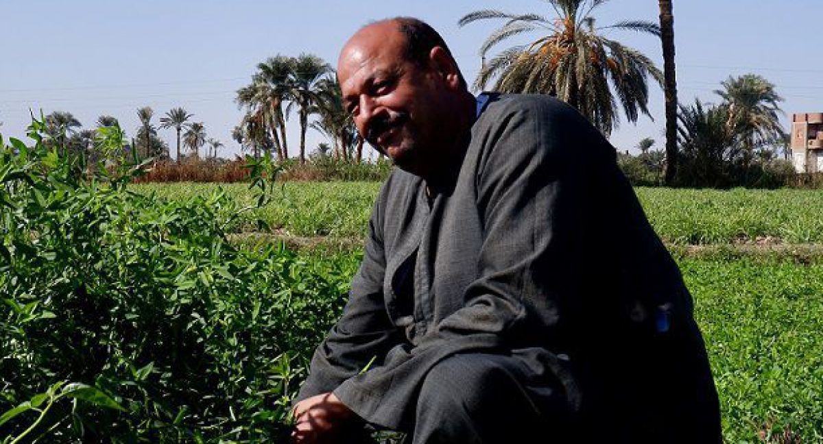 shouak-abdel-ghani