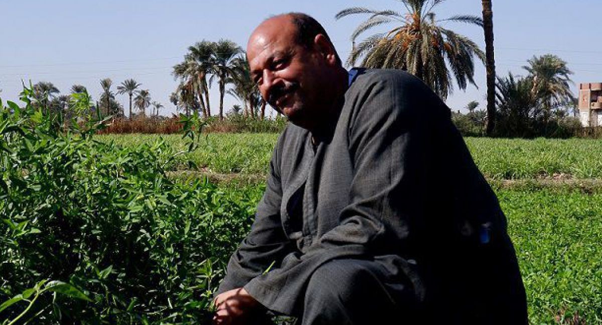 shouak-abdel-ghani