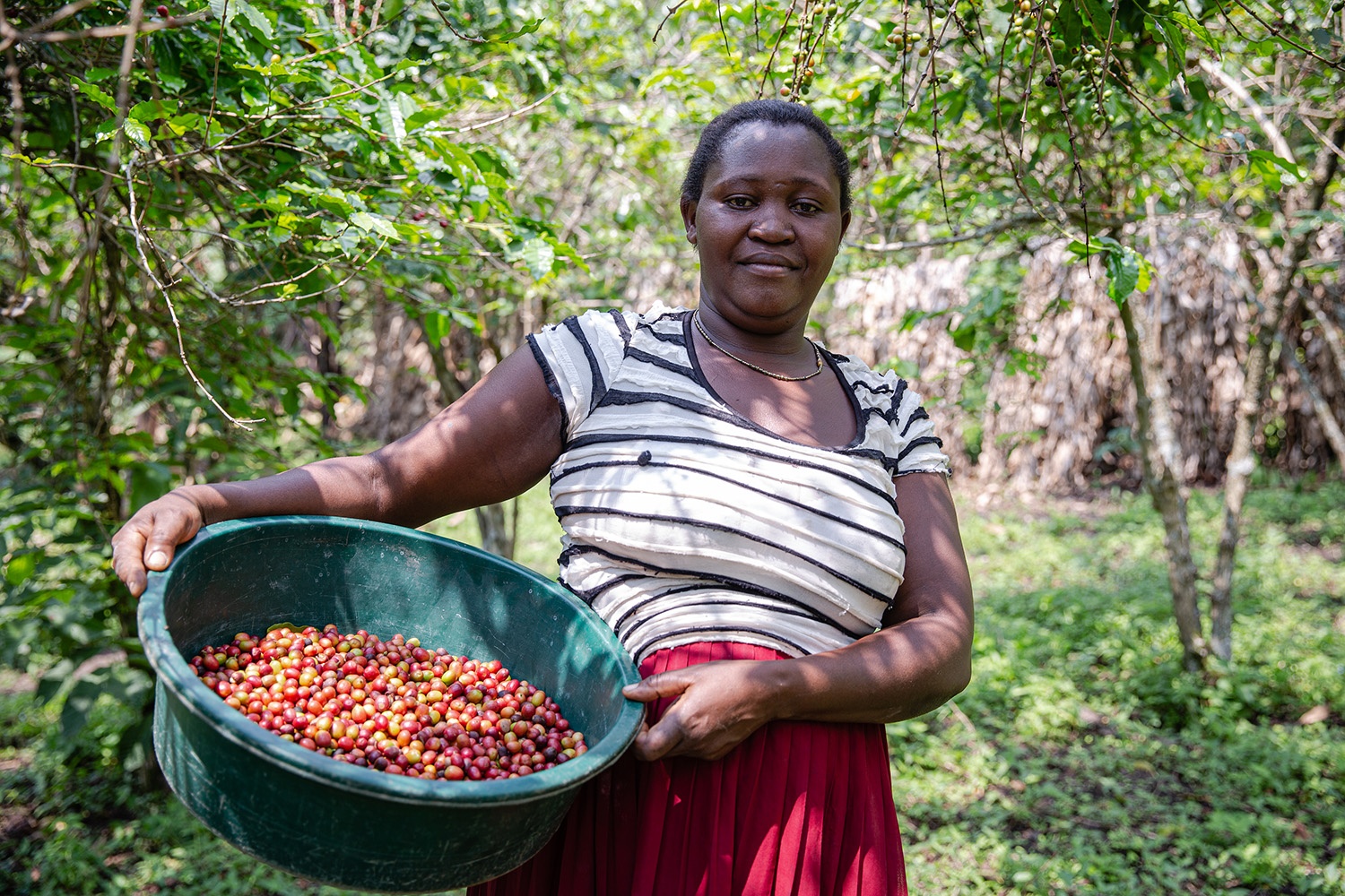 Nyamarwa Agnes, Kaffeebäuerin von BOCU