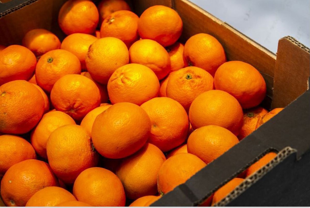 mandarinen