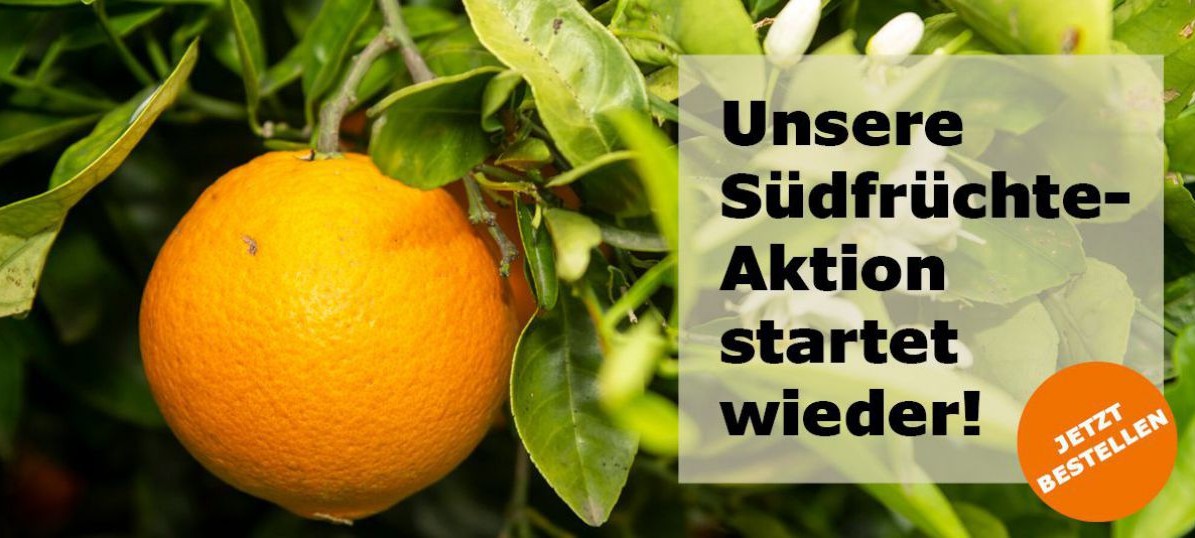 Startseite